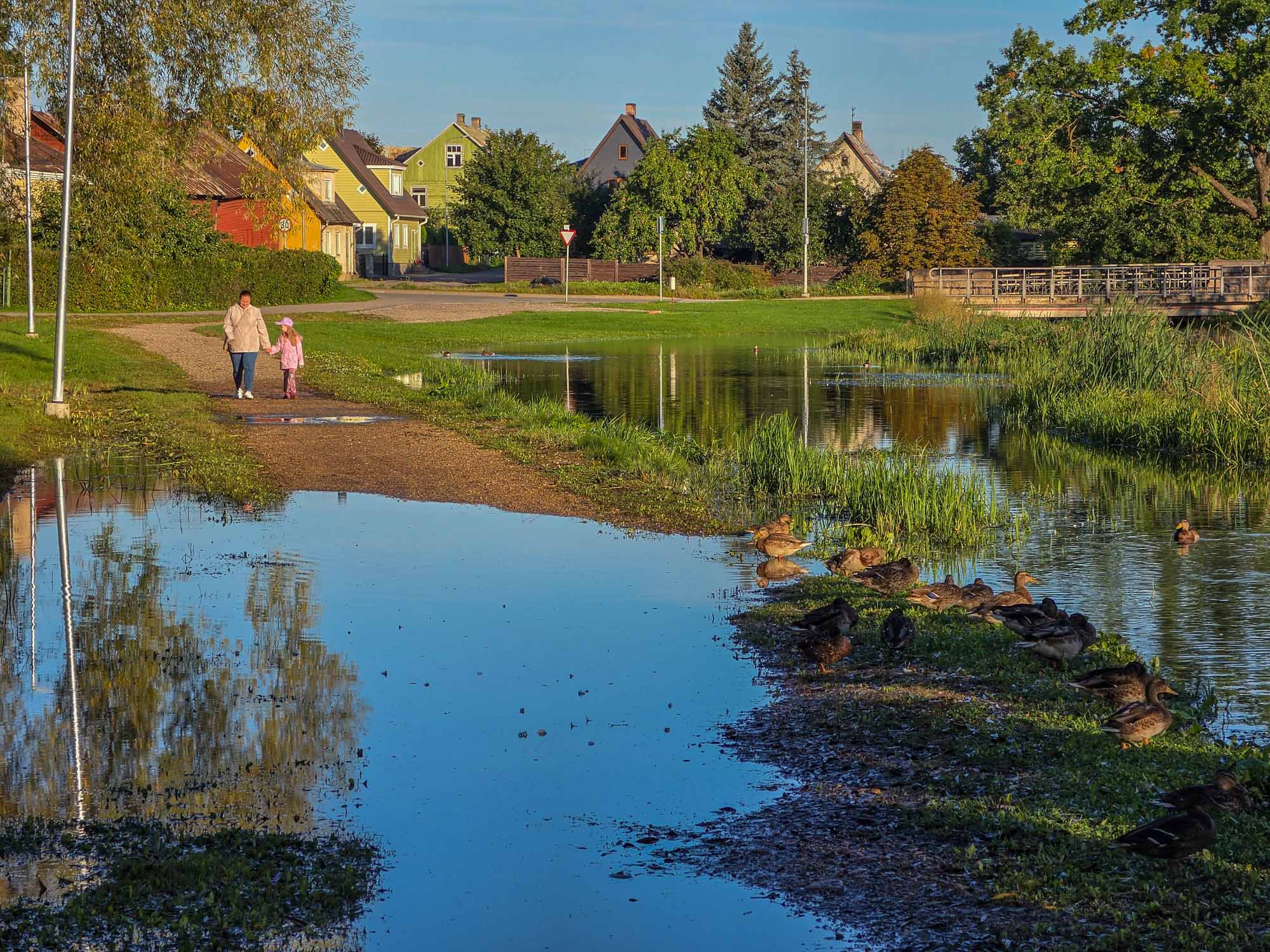 Koreli oja kaldal asuva Võru Tervisekeskuse ümbrus on pärast viimaste päevade sadu kohati vee alla uppunud. Foto: AIGAR NAGEL